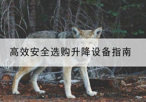 中阳升降货梯厂家推荐-*安全选购升降设备指南