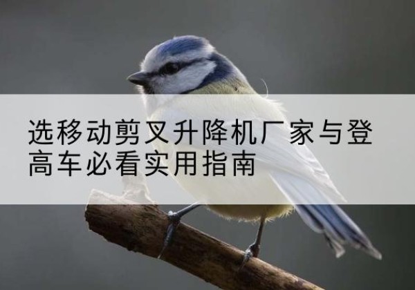中阳电动升降机厂家-选移动剪叉升降机厂家与登高车必看实用指南