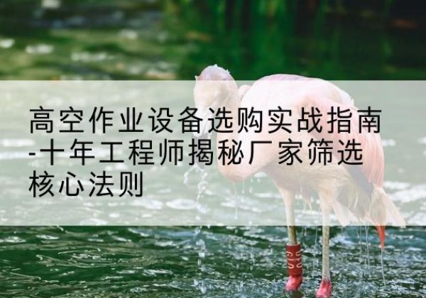 中阳剪叉式升降机厂家-高空作业设备选购实战指南-十年工程师揭秘厂家筛选核心法则